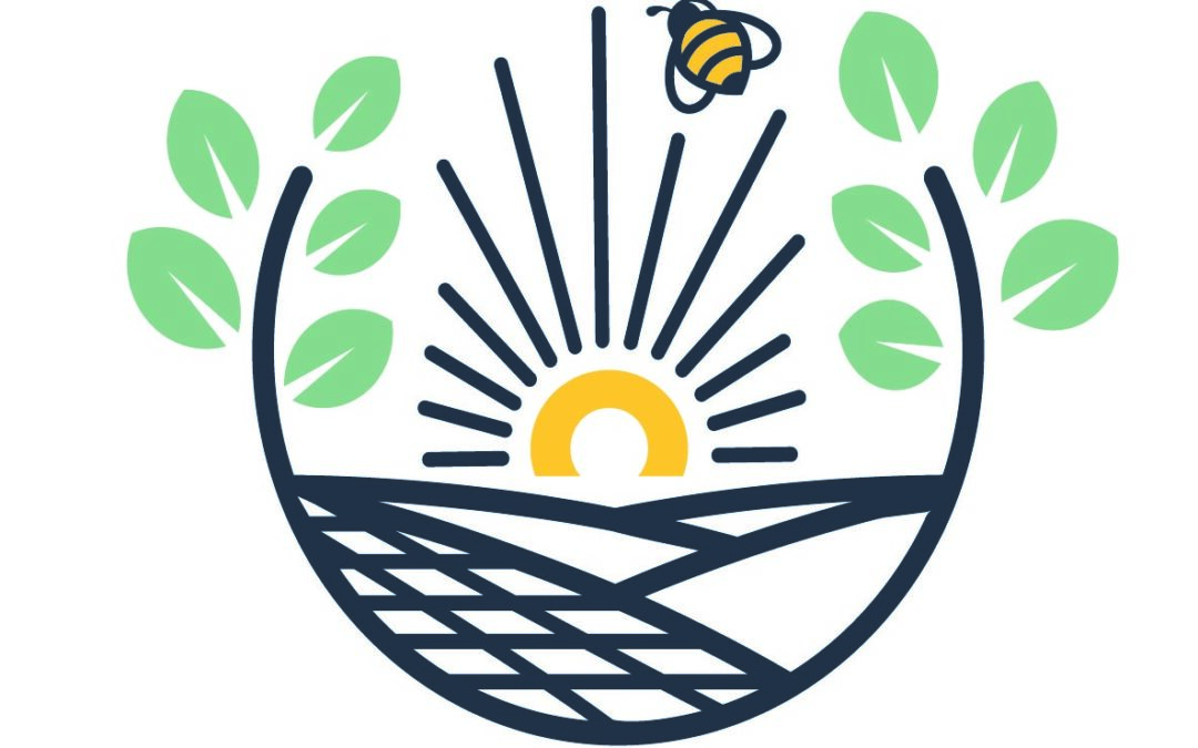 Mise à disposition du mémoire en réponse au rapport de la commission d’enquête